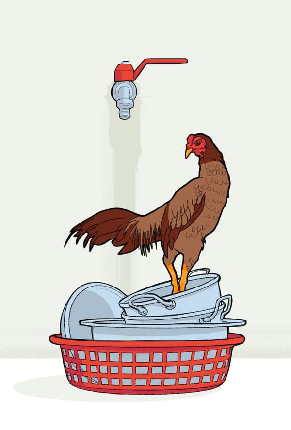 Une tragique soupe de poule